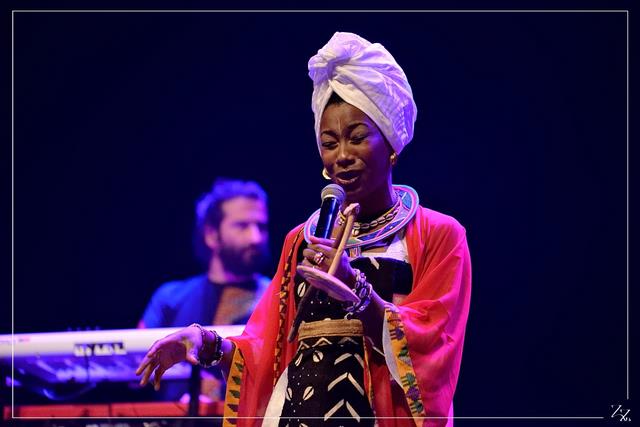 NIK_990516 Fatoumata Diawara 31-01-2019 (Zz) (p).jpg